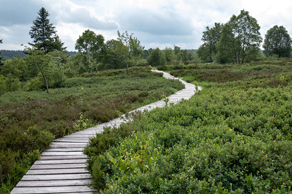 Fotoexkursion ins Hohe Venn