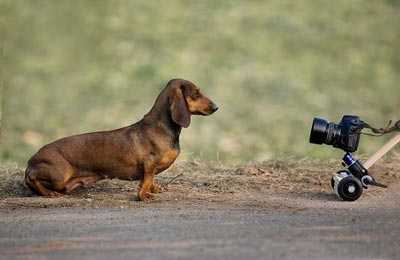 Michael Jordan - Vom Allt�glichen zum Besonderen