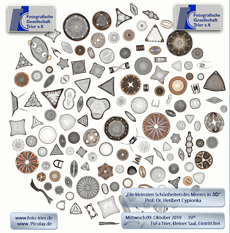 Prof. Cypionka - die „Kleinsten Schönheiten des Meeres“